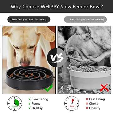 Whippy Slow Feeder Dog Bowl for Healthy Eating
