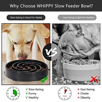 Whippy Slow Feeder Dog Bowl for Healthy Eating