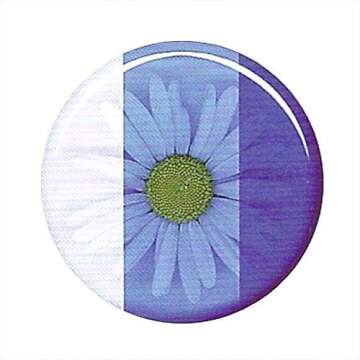 Environmental Technology 1-Ounce Casting' Craft Transparent Dye, Blue