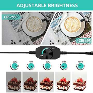 Travor Photo Box with 8 Color Backdrops and LED Lighting