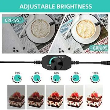 Travor Photo Box with 8 Color Backdrops and LED Lighting