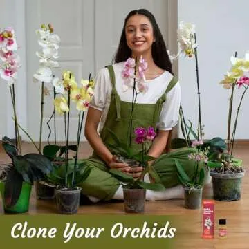 Miracle Lab Cloning Paste for Orchid Growth Boosting