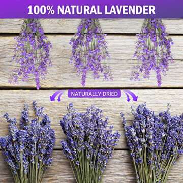 Timoo Dried Lavender Bundles 100 Natural Dried Lavender Flowers for Home Decoration, Photo Props, Ho...