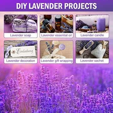 Timoo Dried Lavender Bundles for Home Decor and Gifts