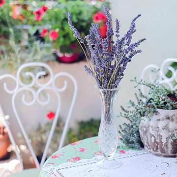 Timoo Dried Lavender Bundles 100 Natural Dried Lavender Flowers for Home Decoration, Photo Props, Home Fragrance, 2 Bundles Pack