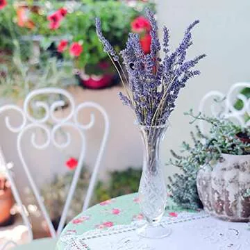 Timoo Dried Lavender Bundles for Home Decor and Gifts