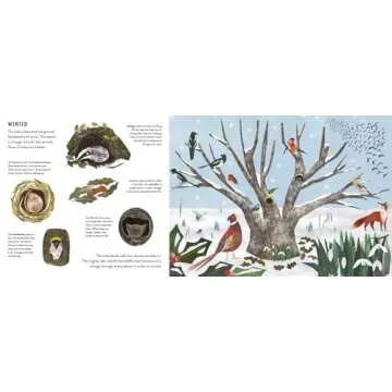 Beautiful Seasons Flip Book for Kids - Engage Young Minds
