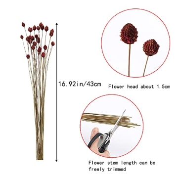 MHMJON 30 Pcs Dried Flowers Bouquet Bulk Mini Billy Ball Flowers Pine Cone Flowers Natural Dried Flowers for Vase Handmade Fake Flowers for Home Indoor Kitchen Office DIY Wedding Table Decor (16.9")