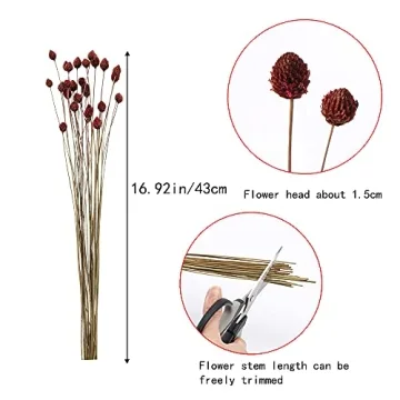MHMJON 30 Pcs Dried Flowers Bouquet Bulk Mini Billy Ball Flowers Pine Cone Flowers Natural Dried Flowers for Vase Handmade Fake Flowers for Home Indoor Kitchen Office DIY Wedding Table Decor (16.9")