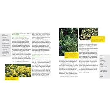 Attracting Beneficial Bugs to Your Garden, Revised and Updated Second Edition: A Natural Approach to Pest Control