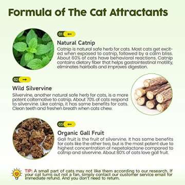 Potaroma Catnip Toys, 3Pcs Cat Toys Natural Silvervine Stick Cage Balls & Bell Ball for Indoor Cats, Kitten Cleaning Teeth Molar Matatabi Cat Chew Toy All Breeds