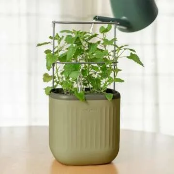 Vego garden Tomato Planter Box & Herb Planter Indoor Pots & Countertop Planter Cage with Trellis Self-Watering Planter Box - Sage Green