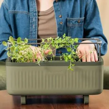 Vego garden Tomato Planter Box & Herb Planter Indoor Pots & Countertop Planter Cage with Trellis Self-Watering Planter Box - Sage Green
