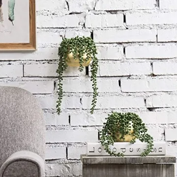 Artificial String of Pearls Wall Planters Set of 2