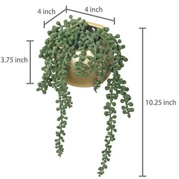 Artificial String of Pearls Wall Planters Set of 2