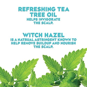 OGX Tea Tree Mint Scalp Treatment for Refreshing Relief