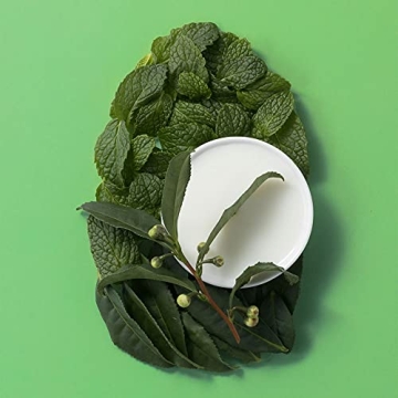 OGX Tea Tree Mint Scalp Treatment for Refreshing Relief