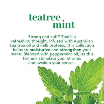 OGX Tea Tree Mint Scalp Treatment for Refreshing Relief
