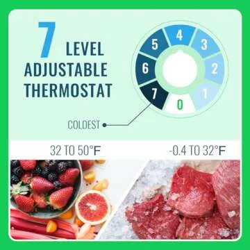 DEMULLER 2.4 Cu.Ft Mini Fridge with Freezer & Double Door Small Tiny Size Refrigerator with 7 Temperature Control Knob Only Suitable for One Person Use Black