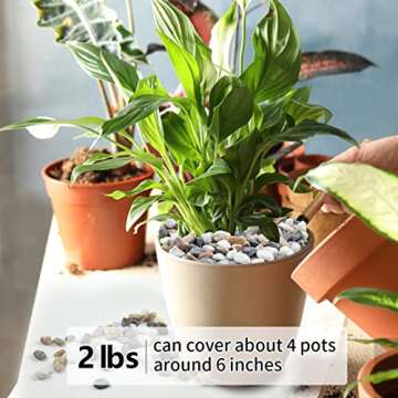 YISZM 2LB Succulent and Cactus Gravel Pebbles, 1/5 Inch Natural Decorative Polished Stones, River Rocks for Vases, Aquariums, Terrarium and Outdoor Gardening, Mixed Color