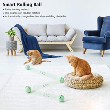 WWVVPET Interactive Cat Toy - Self Rolling LED Ball