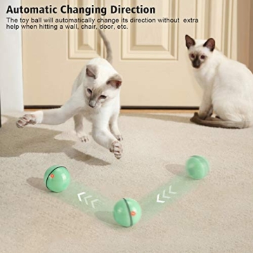 WWVVPET Interactive Cat Toy - Self Rolling LED Ball
