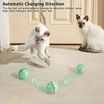 WWVVPET Interactive Cat Toy - Self Rolling LED Ball