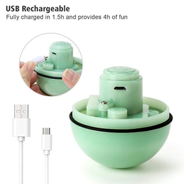 WWVVPET Interactive Cat Toy - Self Rolling LED Ball