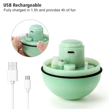 WWVVPET Interactive Cat Toy - Self Rolling LED Ball