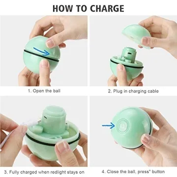 WWVVPET Interactive Cat Toy - Self Rolling LED Ball