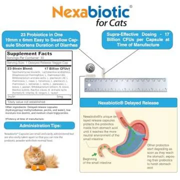 DrFormulas Nexabiotic Probiotics for Cats Powder | Treats Diarrhea for Pets with Saccharomyces Boulardii Lactobacillus Acidophilus, Best Probiotics Supplement for Digestive Health 30 Capsule