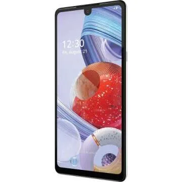 LG Stylo 6 Unlocked Smartphone with 4GB/64GB Storage