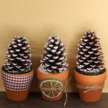 Supla 10 PCS Natural Pinecones Medium Frosted Pine Cones Ornaments Real Preserved Pine Cones - Dried -3"- 4" Tall for Home Decor Christmas Winter Xmas