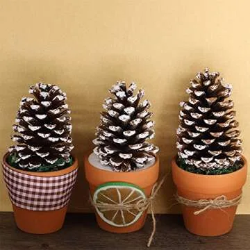 Supla 10 PCS Natural Pinecones Medium Frosted Pine Cones Ornaments Real Preserved Pine Cones - Dried -3"- 4" Tall for Home Decor Christmas Winter Xmas