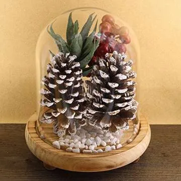 Supla 10 PCS Natural Pinecones Medium Frosted Pine Cones Ornaments Real Preserved Pine Cones - Dried -3"- 4" Tall for Home Decor Christmas Winter Xmas