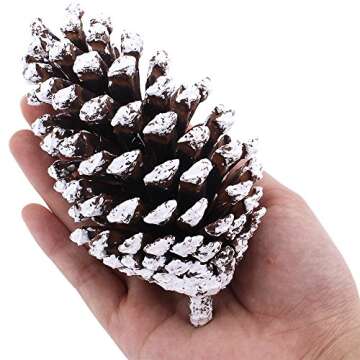 Supla 10 PCS Natural Pinecones Medium Frosted Pine Cones Ornaments Real Preserved Pine Cones - Dried -3"- 4" Tall for Home Decor Christmas Winter Xmas