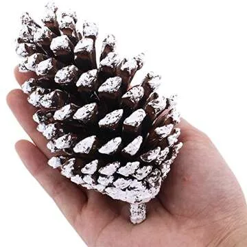 Supla 10 PCS Natural Pinecones Medium Frosted Pine Cones Ornaments Real Preserved Pine Cones - Dried -3"- 4" Tall for Home Decor Christmas Winter Xmas