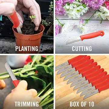 Clauss fixed blade Straight Floral Knives, Comes in a Box of 10