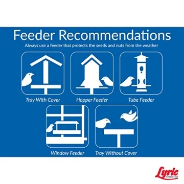 Premium Wild Bird Seed Mix for Outdoor Feeders 40 lb