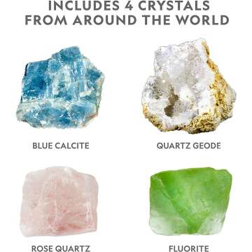 Crystal Growing Lab with Display for Kids