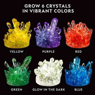 Crystal Growing Lab with Display for Kids