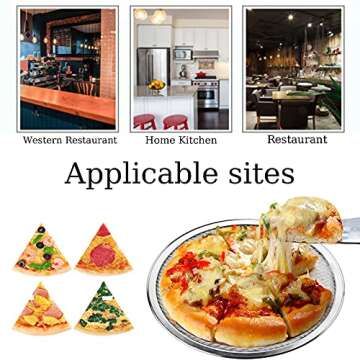 HiYi Pizza Pan for Oven, Pizza Tray Baking Tray 10 inch Seamless Nonstick Aluminum Round Pizza Baking Screen for Home Baking Kitchen Oven Restaurant,Pack of 1 (Silver)