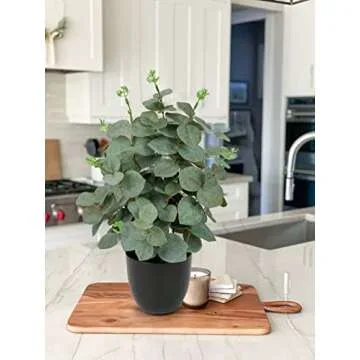 Briful Artificial Eucalyptus Plant Decor 14’’ Fake Eucalyptus with Frosted Leaves Faux Eucalyptus with Lush Foliage in Black Pot Fake Plant for Indoor Living Room Bathroom Kitchen