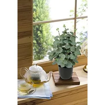 Briful Artificial Eucalyptus Plant Decor 14’’ Fake Eucalyptus with Frosted Leaves Faux Eucalyptus with Lush Foliage in Black Pot Fake Plant for Indoor Living Room Bathroom Kitchen