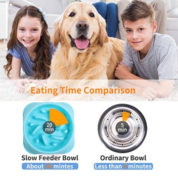 NOYAL Slow Feeder Bowl for Healthy Pet Eating Routines