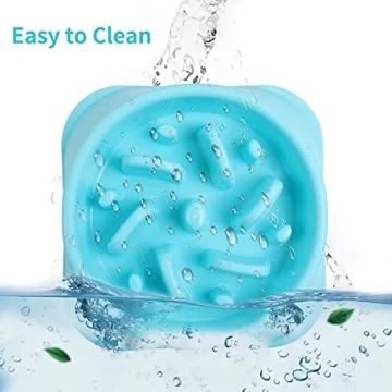 NOYAL Slow Feeder Bowl for Healthy Pet Eating Routines