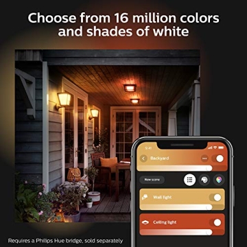 Philips Hue Econic Outdoor Smart Wall Light - Color Ambiance