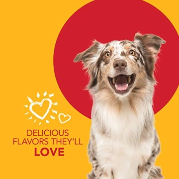 Petrodex Dental Care Kit for Cats - Fresh Breath & Clean Teeth