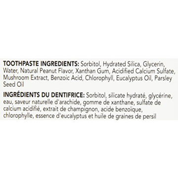 Petrodex Dental Care Kit for Cats - Fresh Breath & Clean Teeth