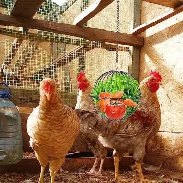 Chicken Veggie Ball for Happy and Engaged Hens